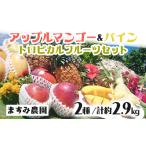ふるさと納税 2026年 先行予約 パイン マンゴー セット トロピカルフルーツセット ますみ農園 果物 沖縄県竹富町