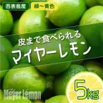 まとめてお得 果汁 マイヤーレモン 島レモン 約5kg