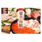 ふるさと納税 かに いくら マグロ！豪華海鮮定期便 《3ヶ月毎月お届け》 [カネダイ 宮城県 気仙沼市 20564517] 宮城県気仙沼市