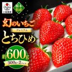 幻のプレミアムいちご とちひめ 600g