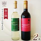 ワイン 赤 白 おまかせ 2本セット ソムリエ