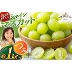 ふるさと納税 【2026年発送】シャインマスカット 訳あり家庭用 粒 にてお届け 約1kg 山梨県産 冷蔵発送 果物 フルーツ 山梨 ぶどう マスカット .. 山梨県韮崎市