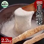 特選 令和6年産 自然薯 約2.2kg