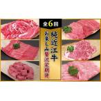 ふるさと納税 肉 近江牛 定期便【年6回】純近江牛 お楽しみ贅沢定期便 (切り落とし/モモ/角切/ロース/ステーキ/すき焼き) 滋賀県草津市