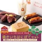 熟成焼きいもはにぽてセット_菓子 スイーツ