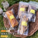 八ヶ岳グラノーラと手作りケーキ レモンケーキ