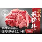 ショッピングふるさと納税 訳あり 不揃い ふるさと納税 訳あり 飛騨牛 焼肉 切り落とし 600ｇ ブランド牛 切落し 不揃い 【飛騨高山ミート MZ013】 岐阜県高山市