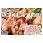 翌々月末迄に 出荷