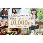 観光農園はなのかファーム利用券10枚綴り