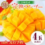 完熟 マンゴー 2L以上