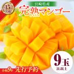 完熟 マンゴー 2L以上
