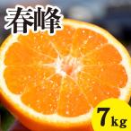 みかん 甘味が強くむきやすい 希少な品種