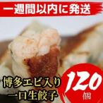 ふるさと納税 博多エビ入り一口生餃子 120個 小分け便利8パック 創業40年以上福岡老舗会社製造 【1週間以内に発送!】 福岡県福岡市