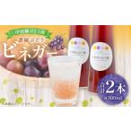 中村柿ぶどう園 濃縮ぶどうビネガー 300ml×2本