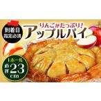 アップルパイ 1ホール 直径23cm ケーキ