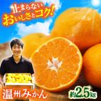 みかん 約2.5kg