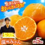 温州みかん 約5kg