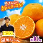 温州みかん 約10kg