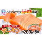 ふるさと納税 サーモン アイスハ゛ーク゛ サーモン サーモン サーモン サーモン サーモン 福島県いわき市