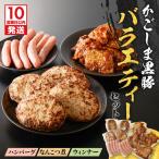 鹿児島黒豚 バラエティー セット 肉 豚肉 惣菜