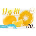 甘夏柑 柑橘 フルーツ あまなつ