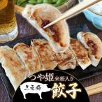 つや姫米粉入り 三元豚餃子 32g×6個入×10パック