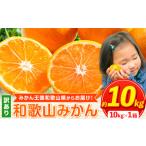 ふるさと納税 訳ありみかん 約10kg《11月中旬-1月中旬頃出荷》みかんみかんみかんみかんみかん 和歌山県紀の川市