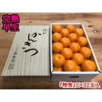 ふるさと納税 年内発送 完熟早生 有田みかん 化粧箱 特秀 L サイズ 32玉入 和歌山 南泰園 みかん 和歌山県有田川町