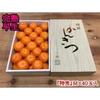 ふるさと納税 年内発送 完熟早生 有田みかん 化粧箱 特秀 M サイズ 40玉入 和歌山 南泰園 みかん 和歌山県有田川町