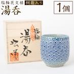 食器 グラス 湯呑 丸田窯 塩釉花文様