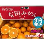ふるさと納税 年内発送 ちょっと 傷あり 完熟早生 有田みかん S または SS 5kg 和歌山 南泰園 みかん 和歌山県有田川町