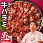 牛ハラミ 総量 3kg