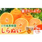 ふるさと納税 【先行予約】不知火 (デコポンと同品種) しらぬい 約 5kg (L〜5Lサイズ) どの坂果樹園 デコポン《2026年2月中旬-4月上旬頃出荷.. 和歌山県日高川町