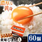 君嶋養鶏園 たまご Lサイズ 60個