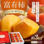 柿 有袋富有柿 約3kg