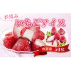 ショッピングふるさと納税 アイス ふるさと納税 A010 春摘み いちごアイス（50粒） 金賞受賞 一口アイス 苺 アイス 山口県光市