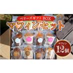 ベリーズ BOX マフィンセット 12個