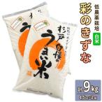 低農薬栽培の彩のきずな 9kg