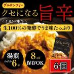 発酵スパイスカレー6個 ★白山麓のW発酵とスパイス5種