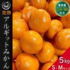 ふるさと納税 完熟 アルギット みかん 5kg S 〜 M サイズ | 年内発送 可 先行予約 みかん 有田みかん 甘い おいしい ジューシー 皮 薄い 完.. 和歌山県有田川町