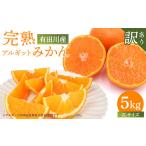 ふるさと納税 完熟 アルギット みかん 5kg 2L 大玉サイズ 訳あり | 年内発送 可 先行予約 みかん 有田みかん 甘い おいしい ジューシー 皮 .. 和歌山県有田川町