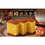 長崎カステラ糖庵 0.5号 12本