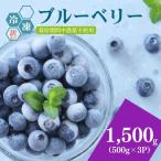 冷凍ブルーベリー1500g 500g×3パック