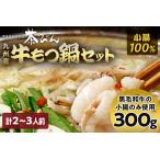 もつ鍋セット 2~3人前 醤油味 ホルモン小腸