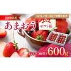 福岡産 あまおう 約600g