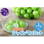 ふるさと納税 産地直送やみつきシャインマスカット 約1kg（2房）【2026年発送】（RC）B-434 シャインマスカット フルーツ 山梨県甲州市