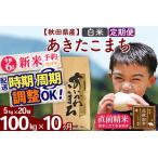 ふるさと納税 ※令和6年産 新米予約※《定期便10ヶ月》秋田県産 あきたこまち 100kg【白米】(5kg小分け袋) 2024年産 お届け周期調整可能 隔月.. 秋田県北秋田市