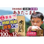 ふるさと納税 ※令和6年産 新米予約※《定期便12ヶ月》秋田県産 あきたこまち 100kg【白米】(5kg小分け袋) 2024年産 お届け周期調整可能 隔月.. 秋田県北秋田市