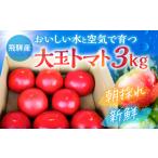 fu.... налог [ предшествующий предварительный заказ ] большой шар помидор 3kg помидор Gifu префектура .. город 