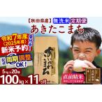 ふるさと納税 ※令和6年産 新米予約※《定期便11ヶ月》秋田県産 あきたこまち 100kg【無洗米】(5kg小分け袋) 2024年産 お届け周期調整可能 隔.. 秋田県北秋田市